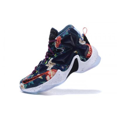 Nike Erkek Lebron 13 Renkli Basketbol Ayakkabısı Türkiye - 236OXB1P